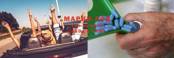 ГАЛЛЮЦИНОГЕННЫЕ ГРИБЫ Аркадак