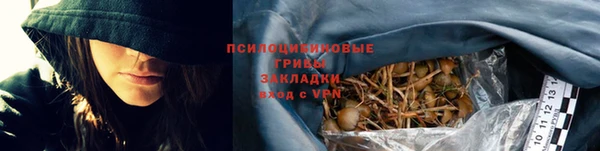 ГАЛЛЮЦИНОГЕННЫЕ ГРИБЫ Аркадак