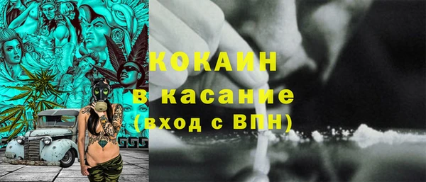 ГАЛЛЮЦИНОГЕННЫЕ ГРИБЫ Аркадак